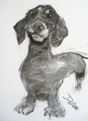 Snoopy medium print