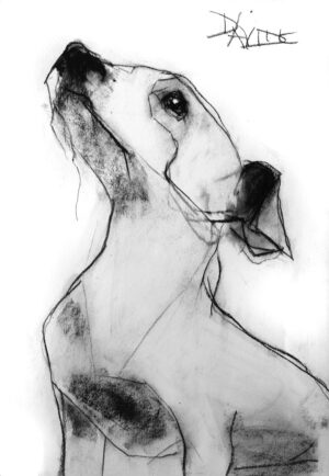 Spot medium print
